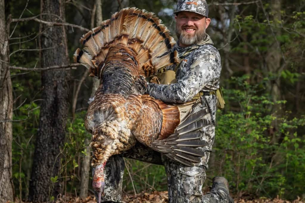 Dusty Altman red-phase Missouri wild turkey