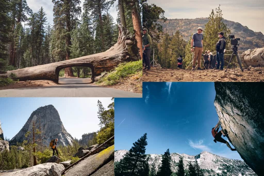 sequoia national park and yellowstone