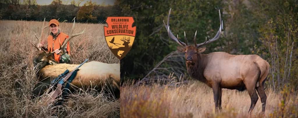Apply for 2025 Oklahoma Hunts (Including Elk)