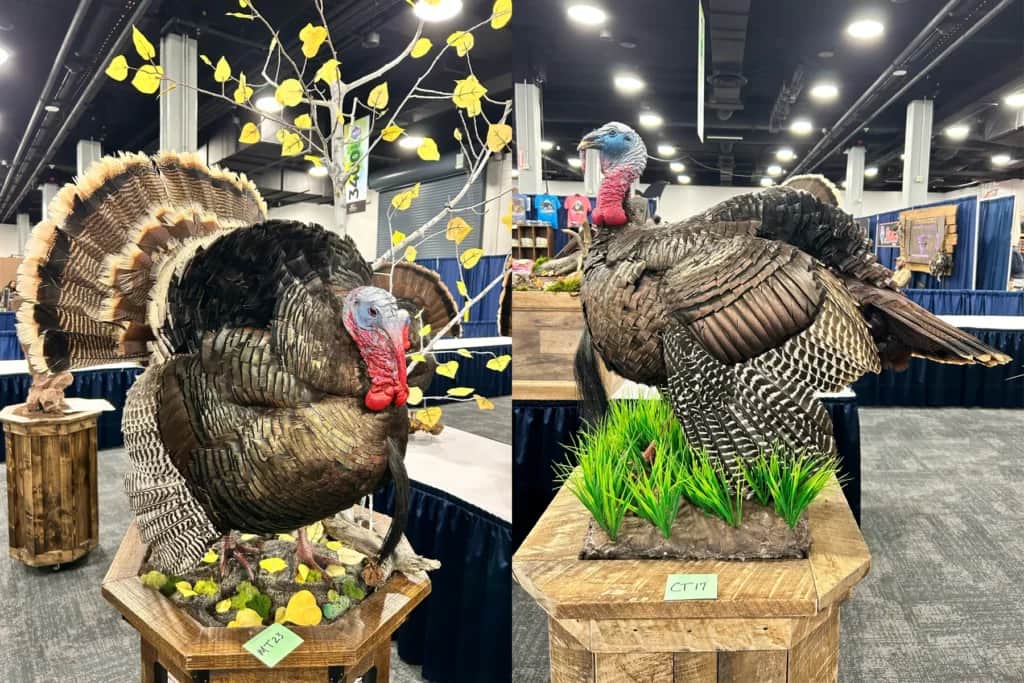 full and half strut turkey mounts