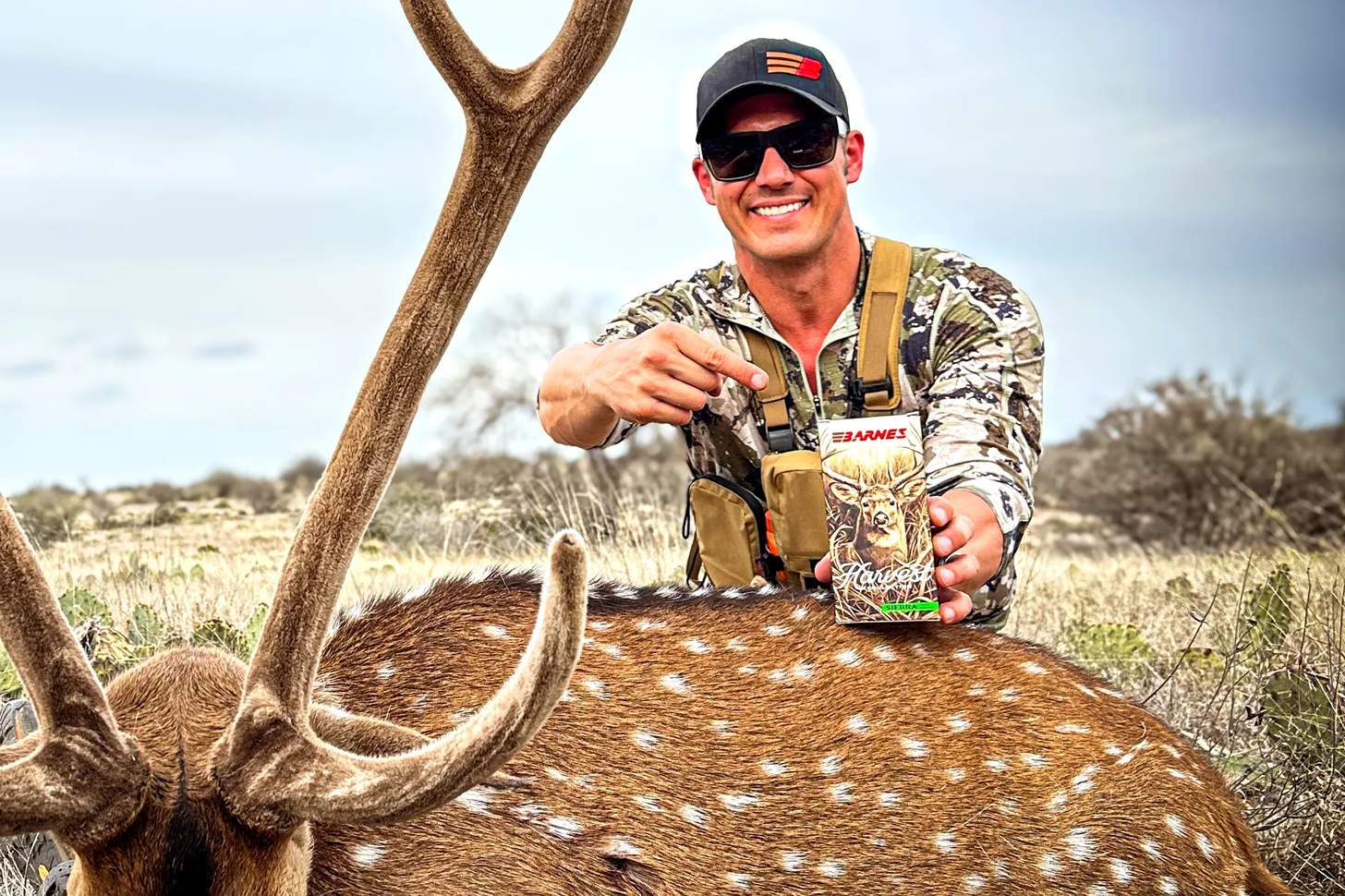 barnes harvest collection rifle ammo