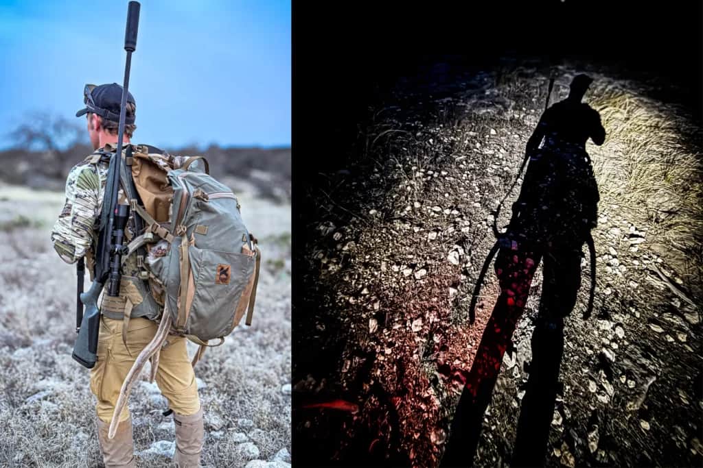 night and day axis deer hunting in texas