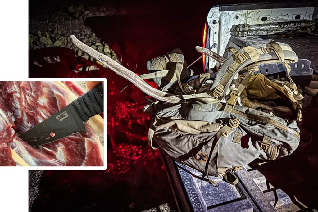 axis deer hunt in texas with barnes harvest collection rifle ammo