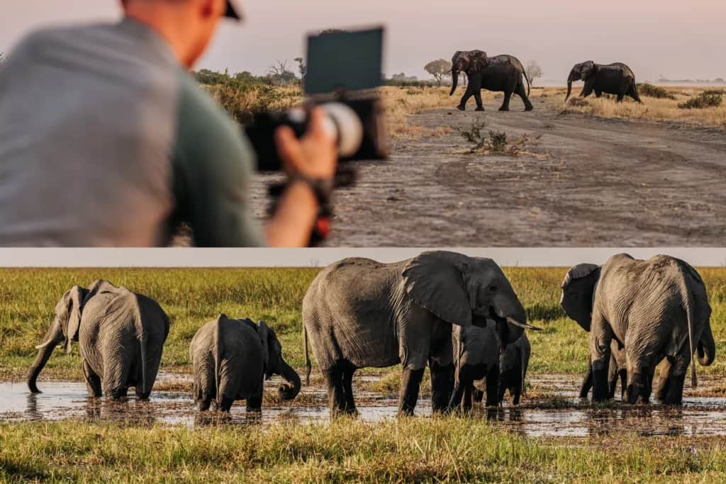filming a fine balance, a documentary about elephant hunting