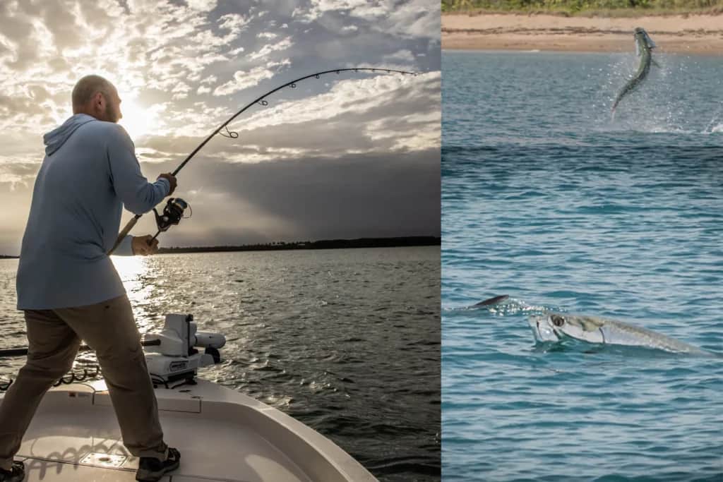 frank melloni saltwater fishing