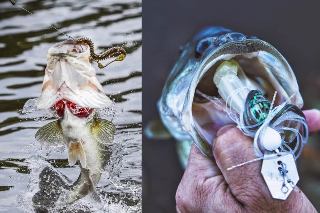 lake fork bass fishing with lake fork trophy lures