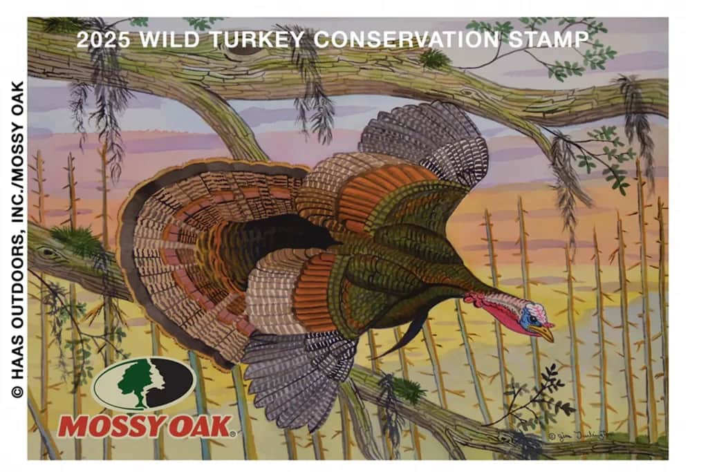 Mossy Oak Announces 2025 Wild Turkey Conservation Stamp 