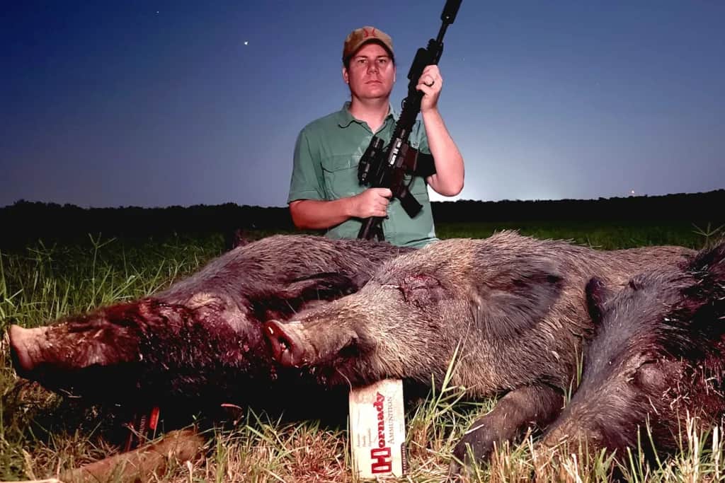 Logan Metesh with downed hogs. He used Sightmark’s Wraith Mini Thermal Optic on the rifle