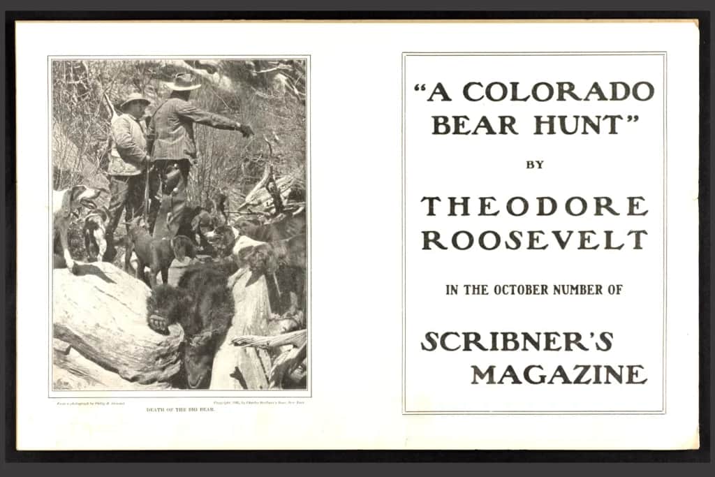 teddy roosevelt bear hunt