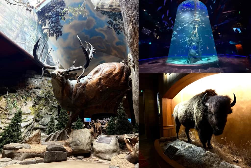 Johnny Morris' Wonders of Wildlife Museum