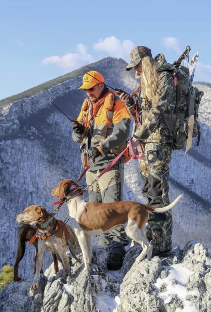 hunting bears with hounds in West Virginia