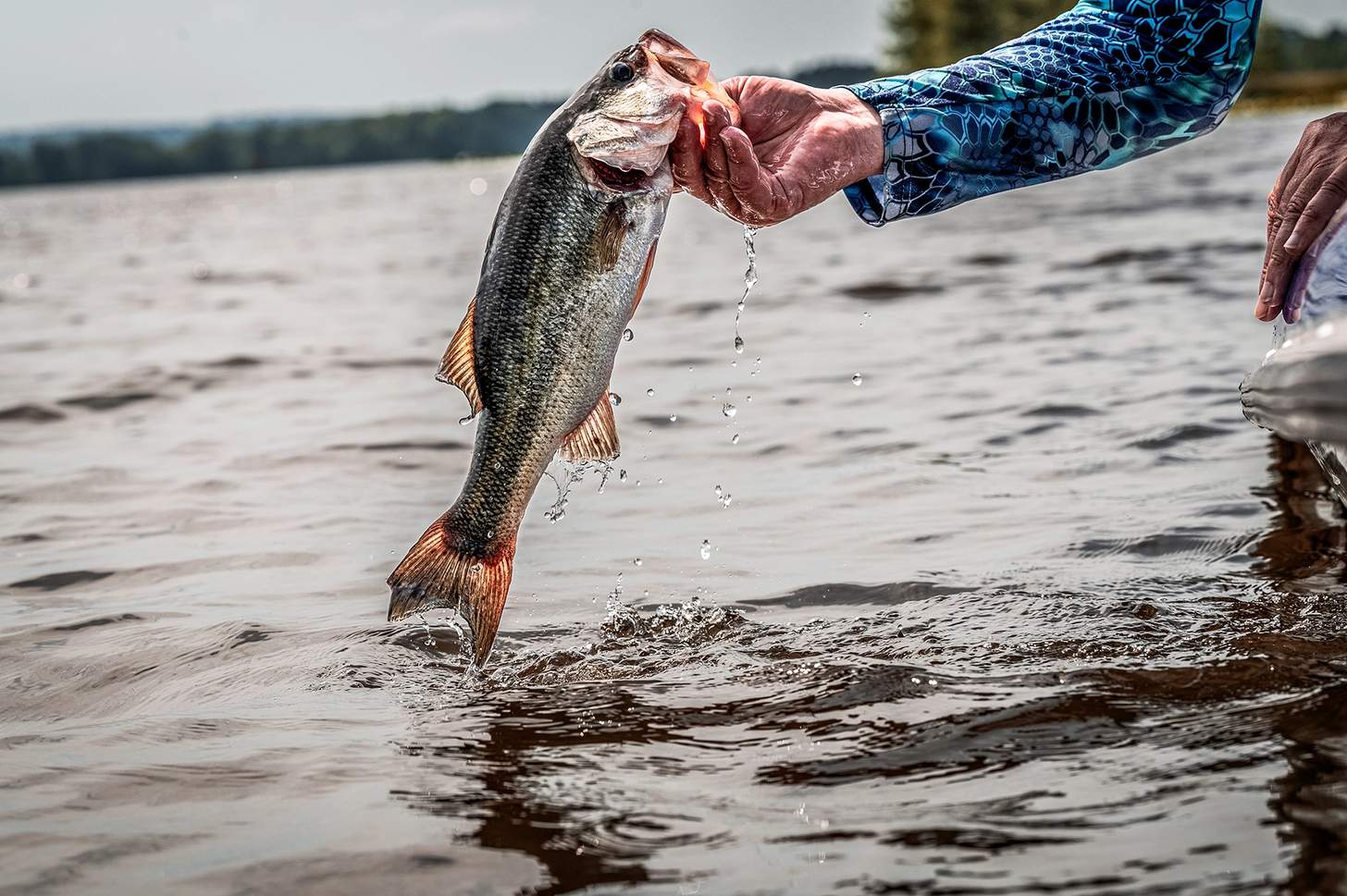 angler lipping a bass