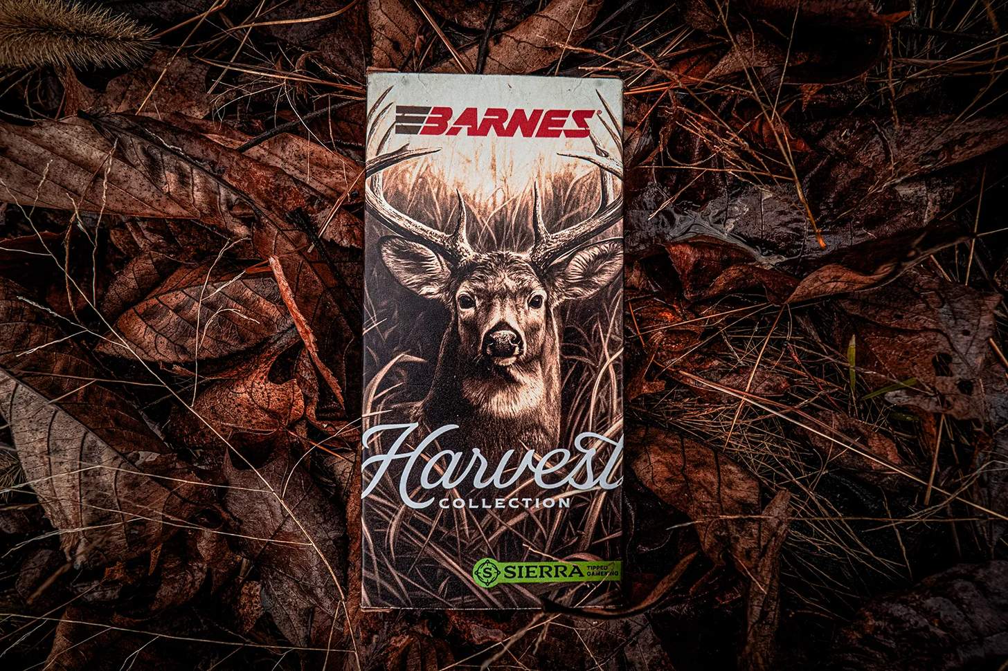 a box of Barnes Sierra Harvest Collection hunting ammo on fall leaves