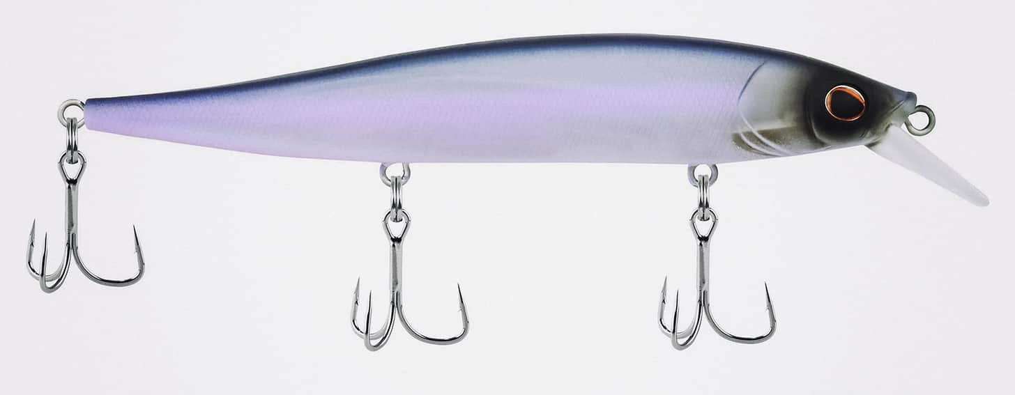 Berkley Stunna in Stone Cold