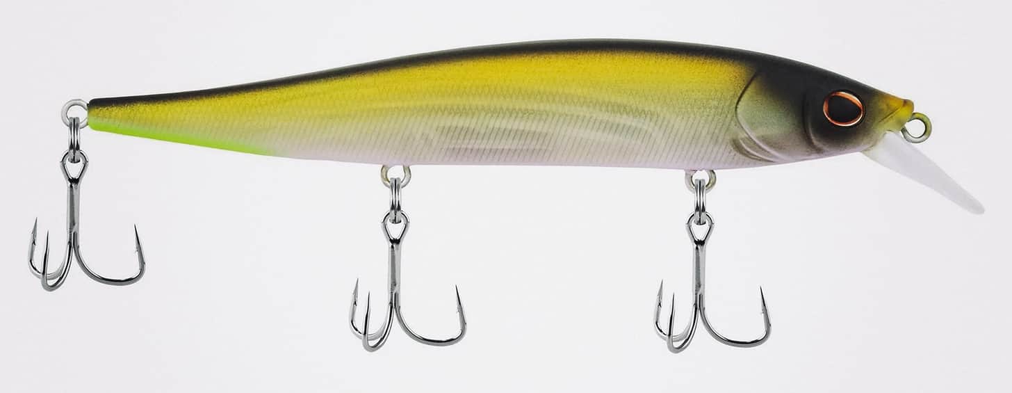 Berkley Stunna in tennessee shad