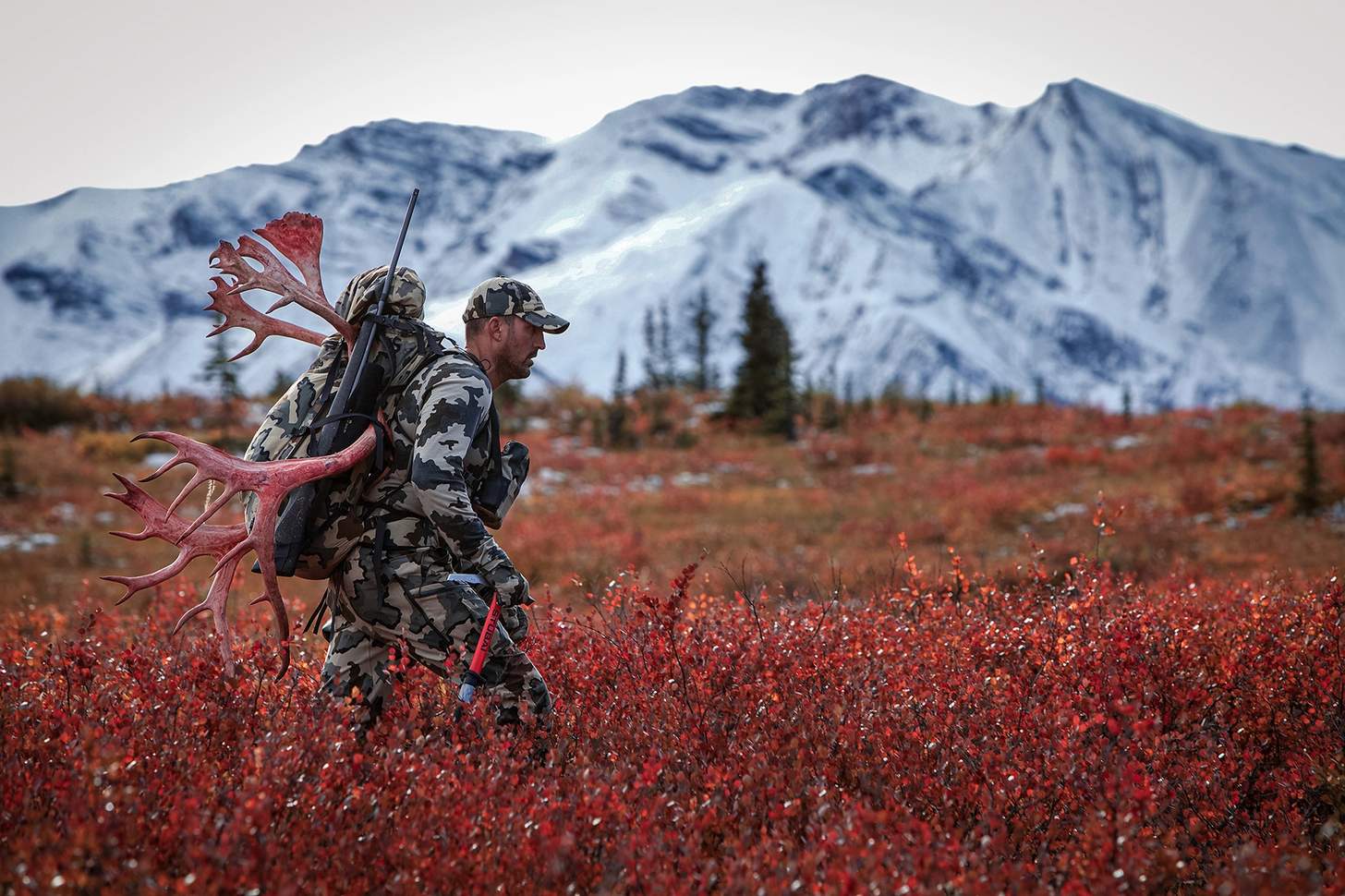 a hunter with caribou horns in his pack crossing a field