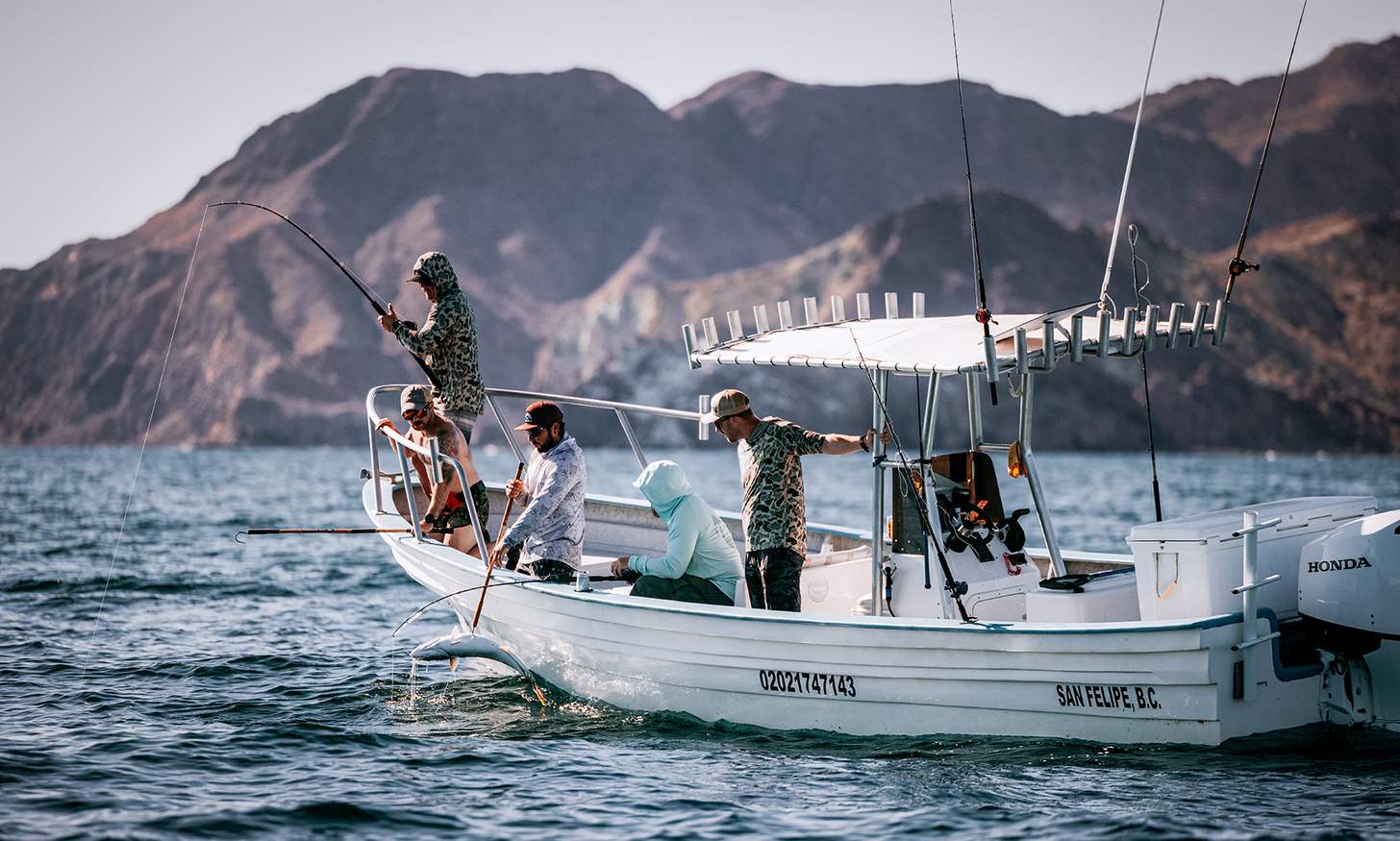Men hauling in fish on a boat