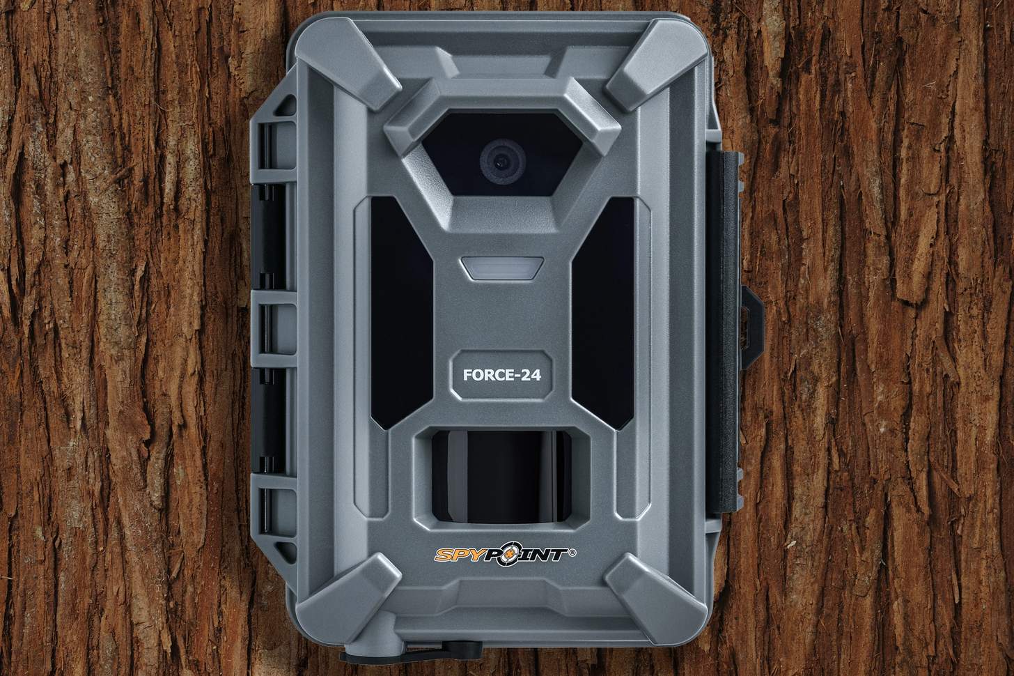 Spypoint FORCE-24 trailc am on bark