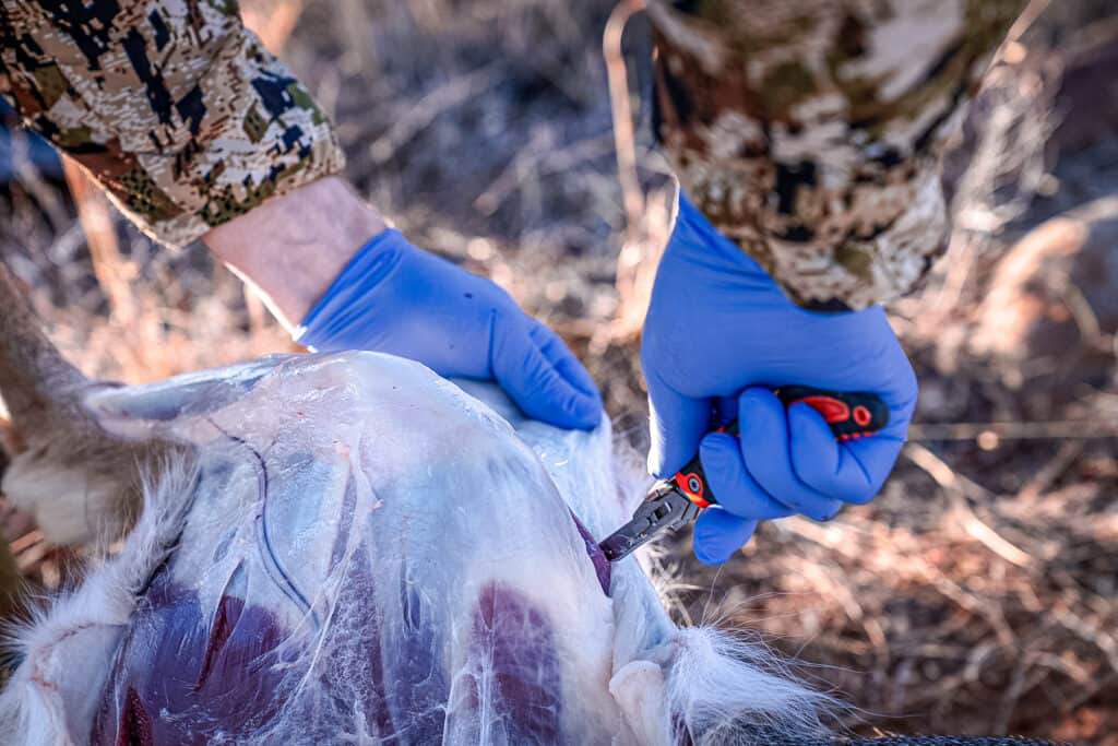 Randy Newberg Skinning a whitetail deer