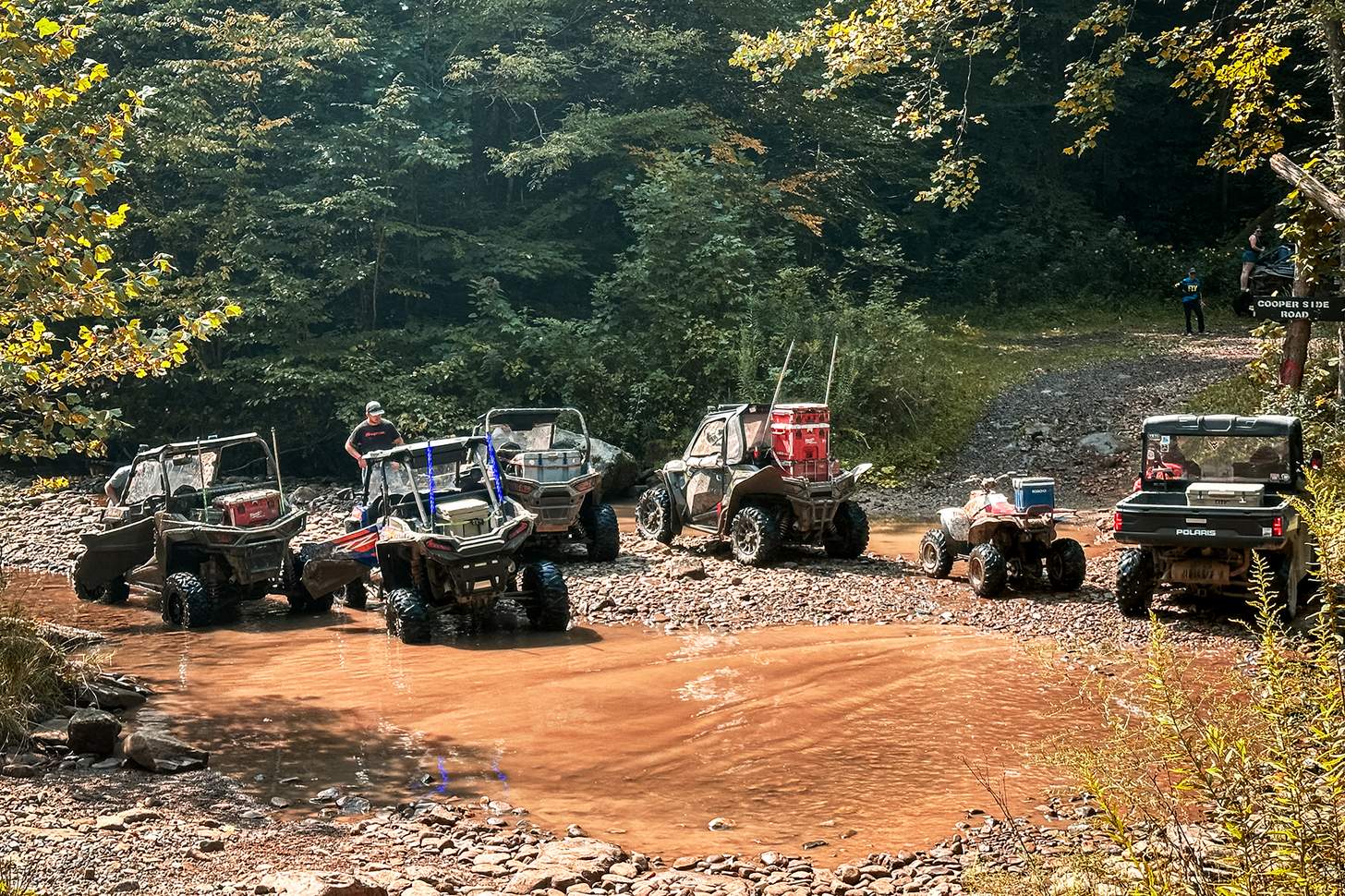 Photo: Jackie Burgreen