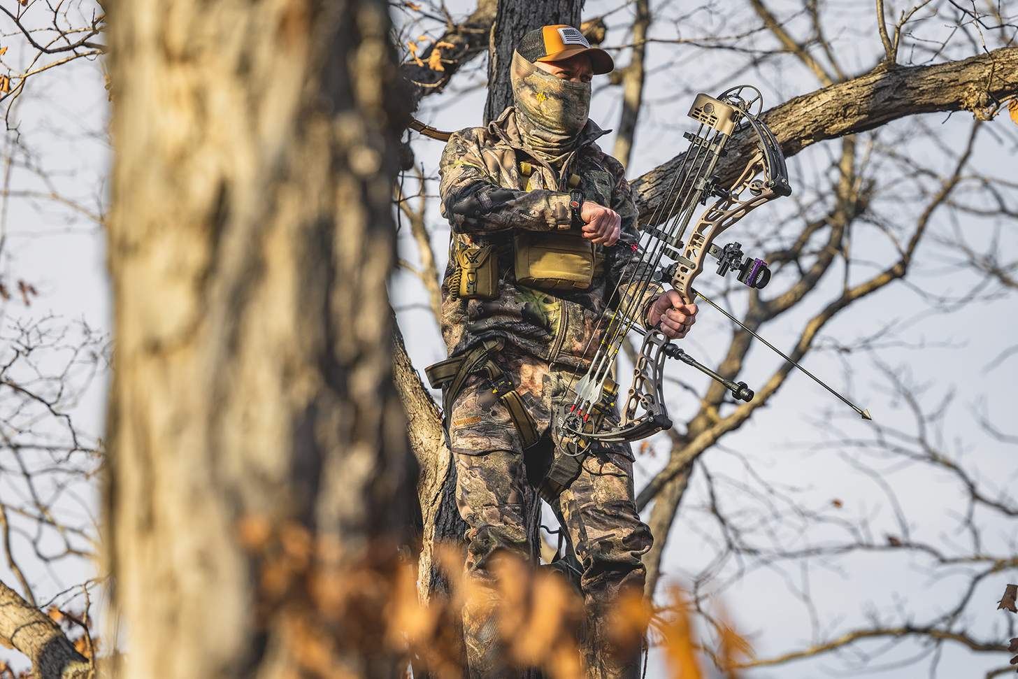 how to choose a compound bow, an bowhunter in a treestand