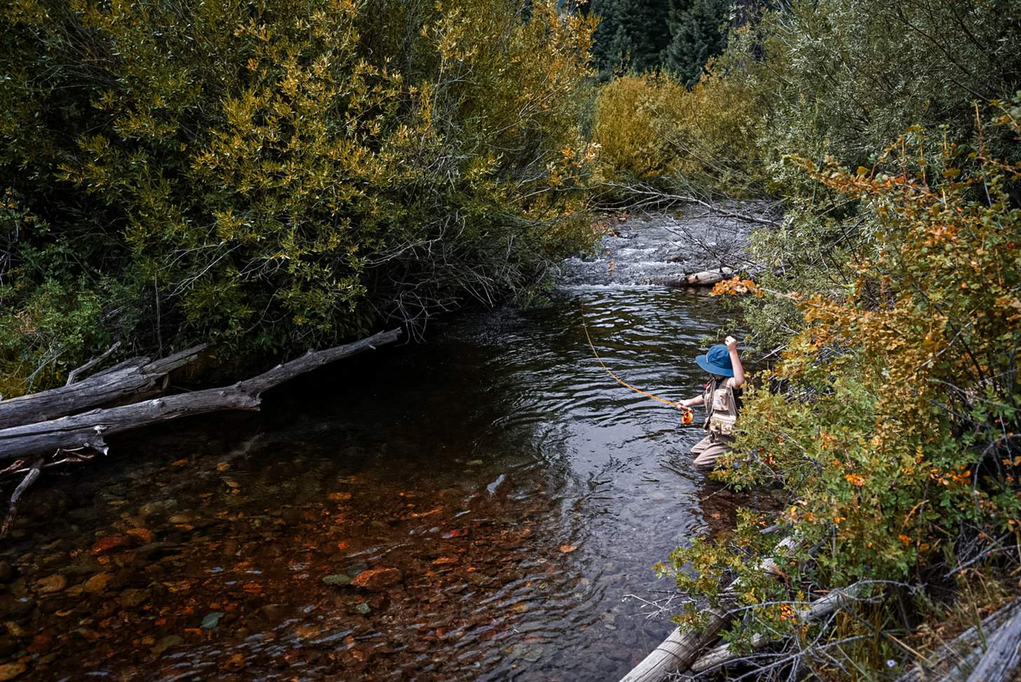 a young angler flyfishing in a stream