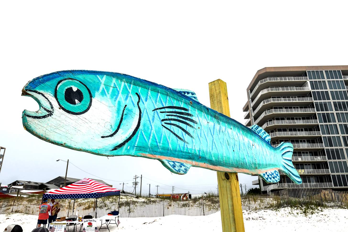 Florabama mullet toss