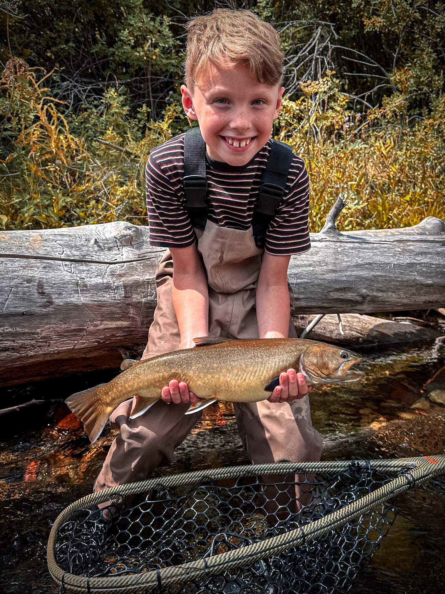 a young angler pulling a trout from a net