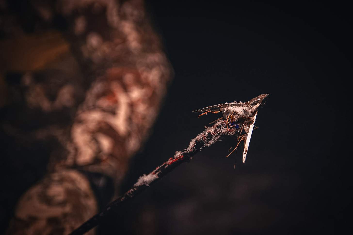 The 6 Best Bowhunting Broadheads for Whitetails