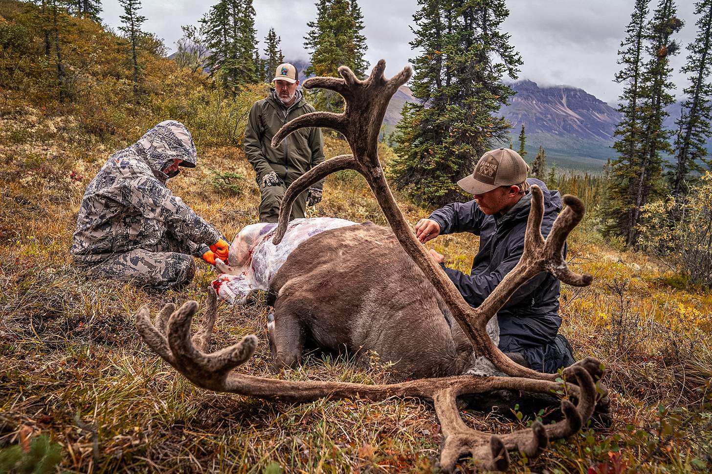 skinning and field dressing big game