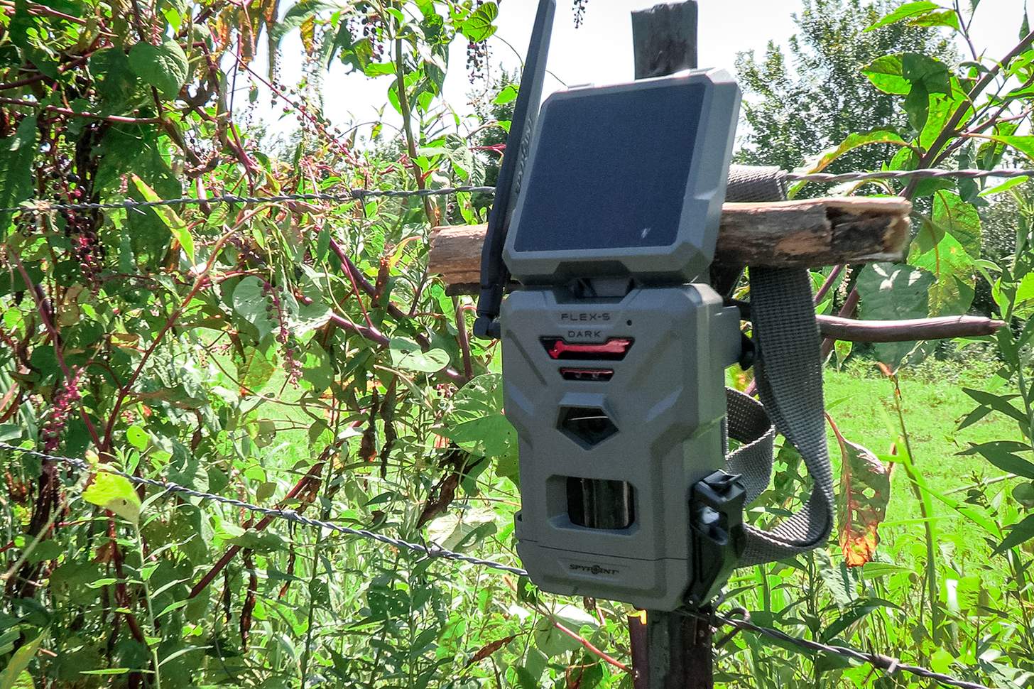 Spypoint Solar Powered Trail Camera