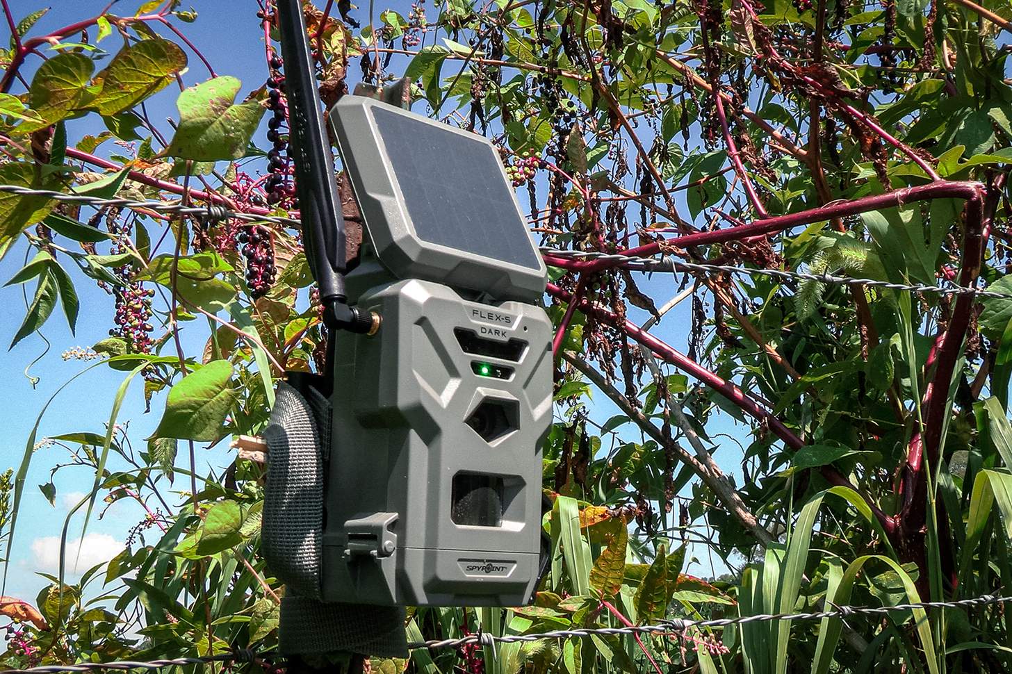Trail Camera Power Solutions That Save You Time and Money