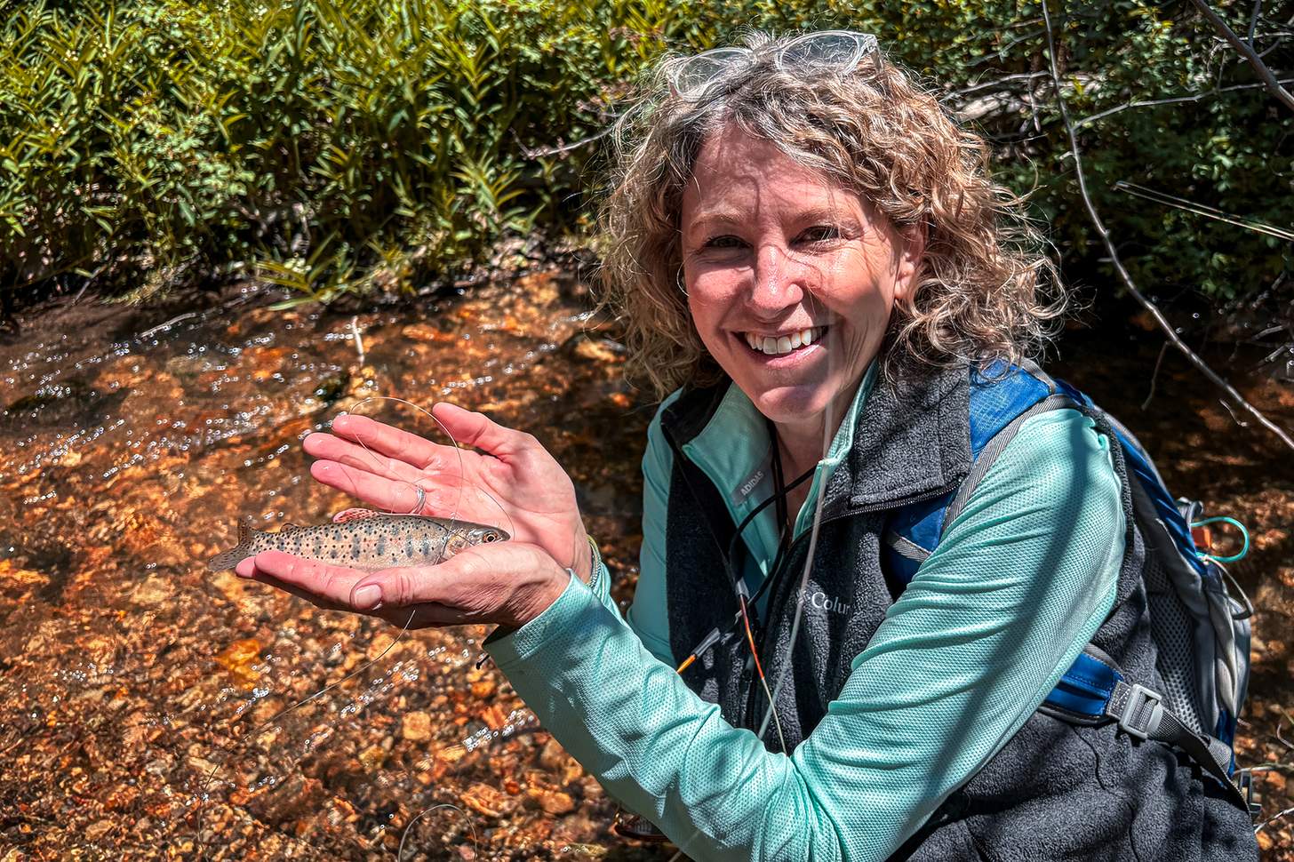 a small trout in the YCT Johnson Creek in Utah