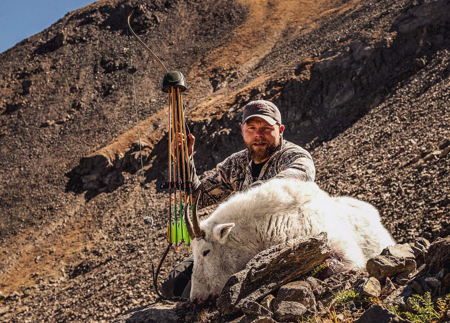 trad bow and dall sheep
