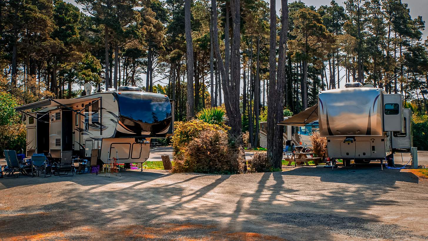 RVs parked at a campground