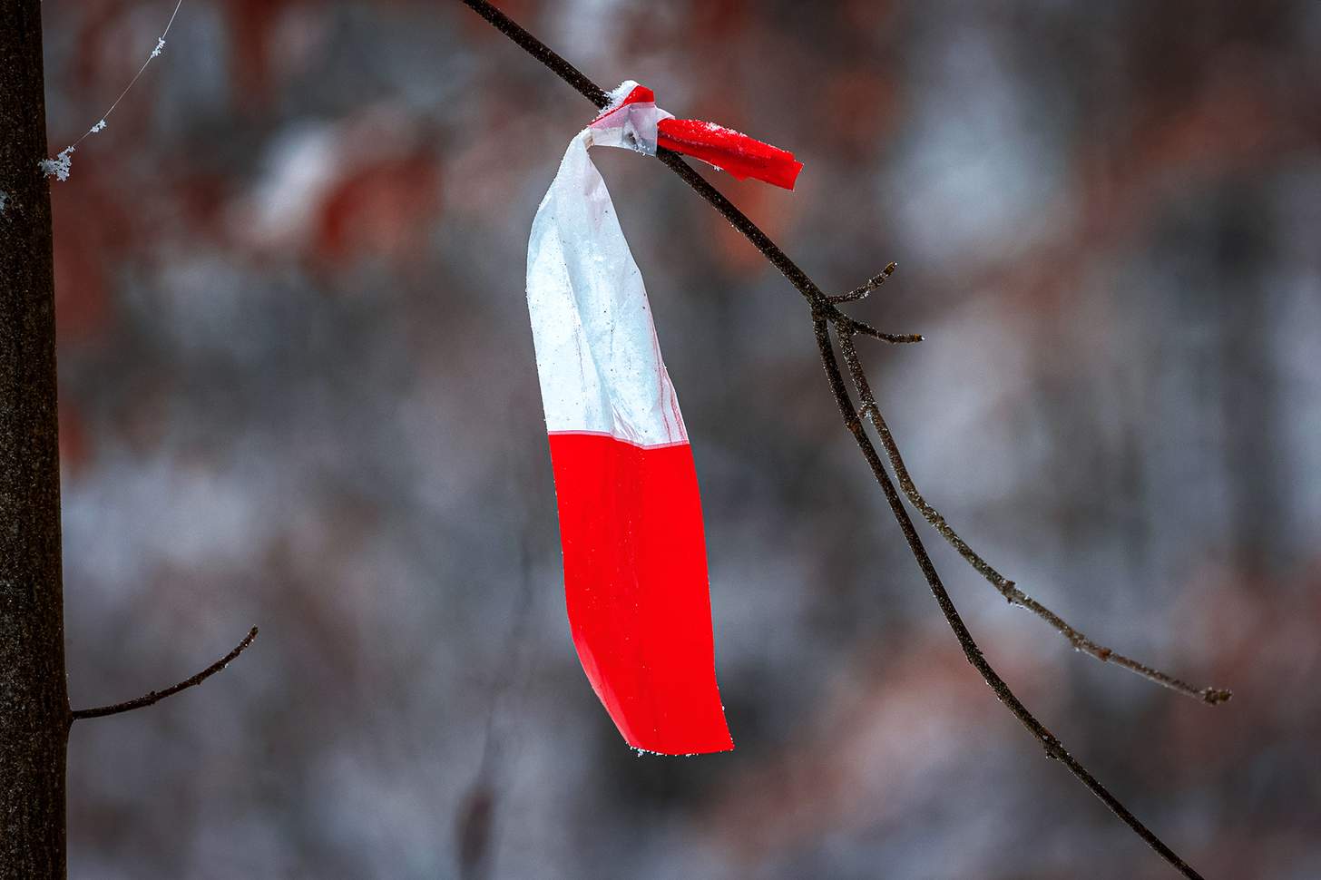 hiking trail marker red and white