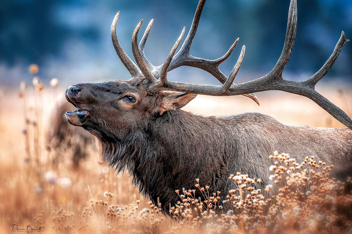 RMEF and UM Launch New Center for Hunting and Conservation