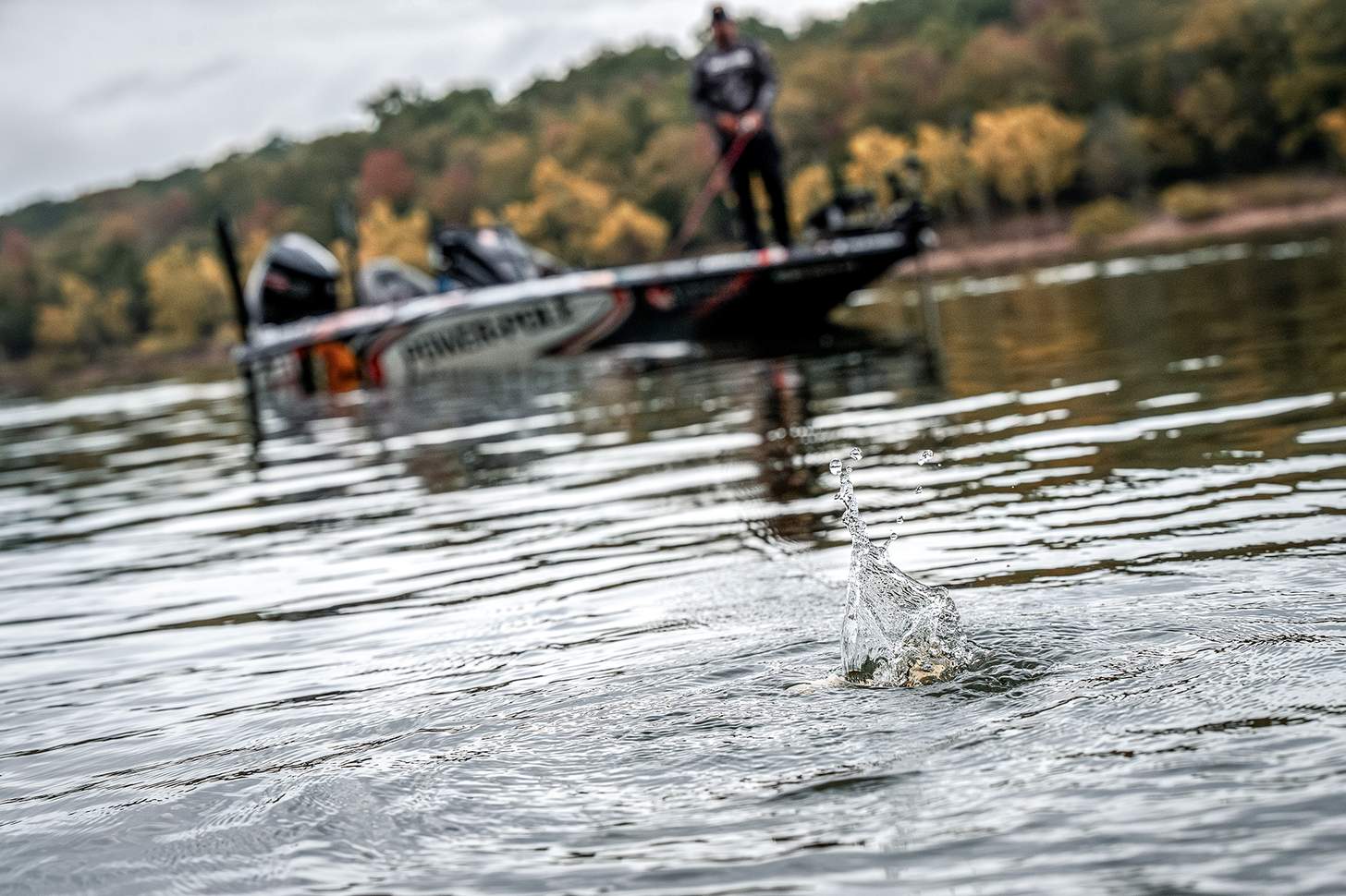 forward facing sonar bassmaster