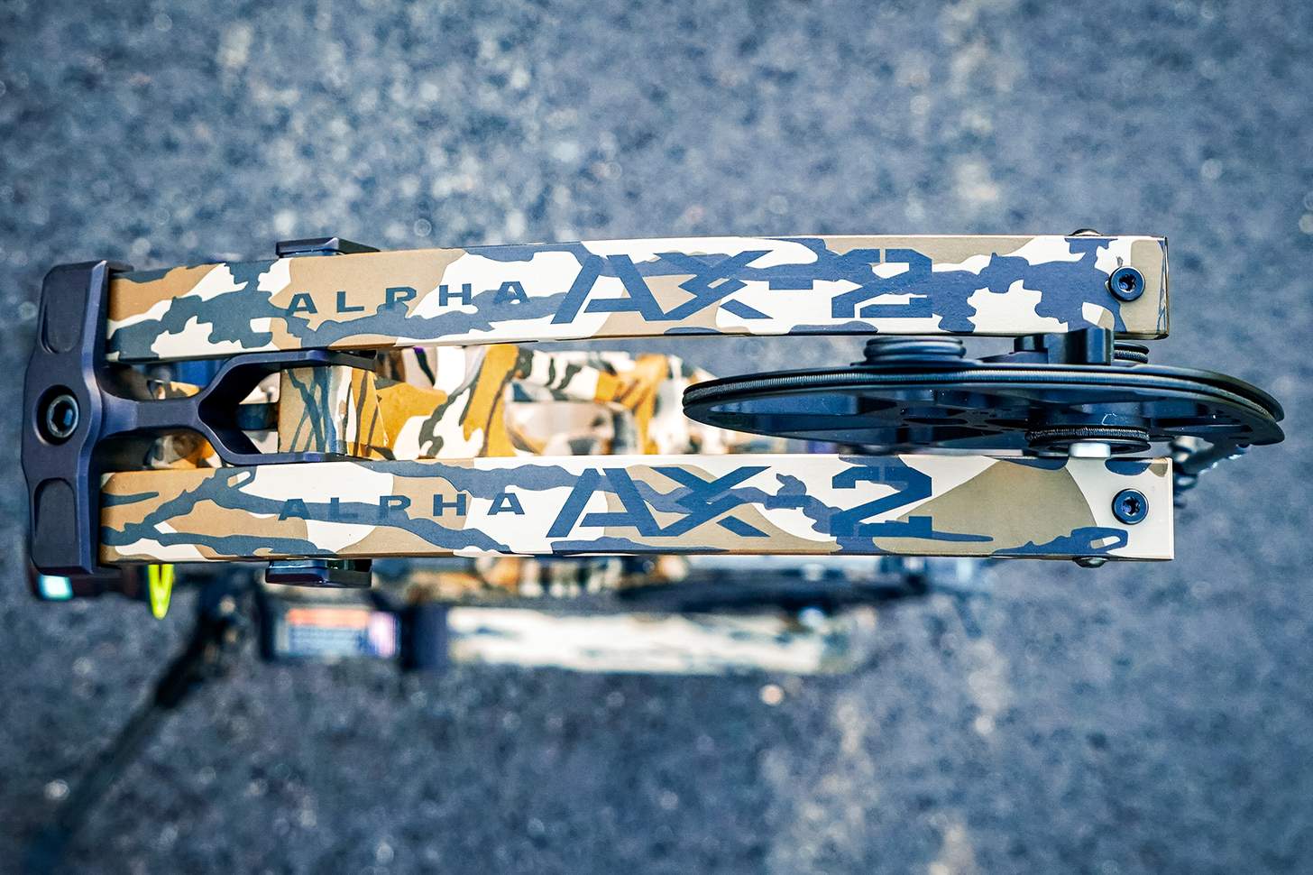 Hoyt Alpha AX-2 29 riser