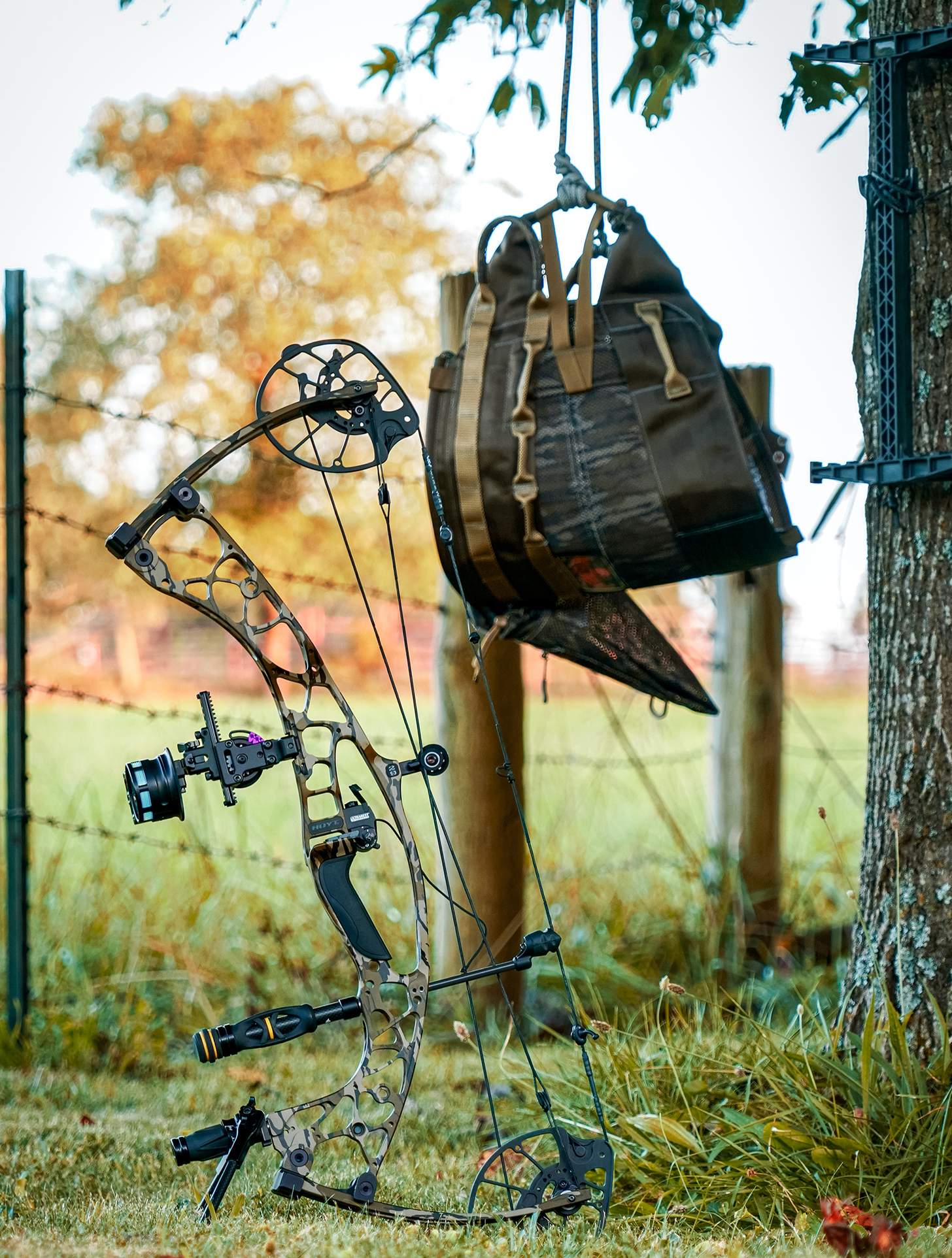 Hoyt Alpha AX-2 29