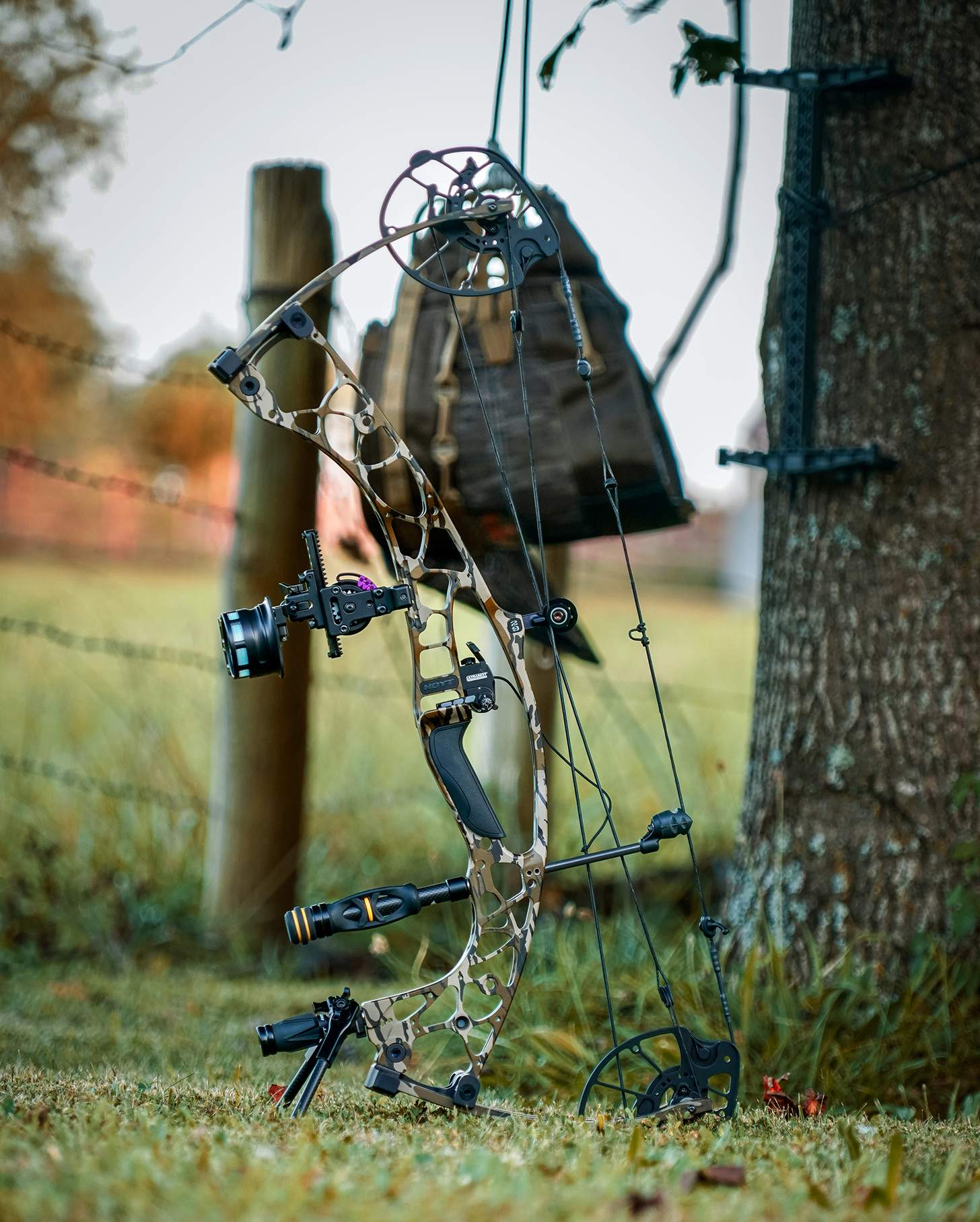 Hoyt Alpha AX-2 29 compound bow