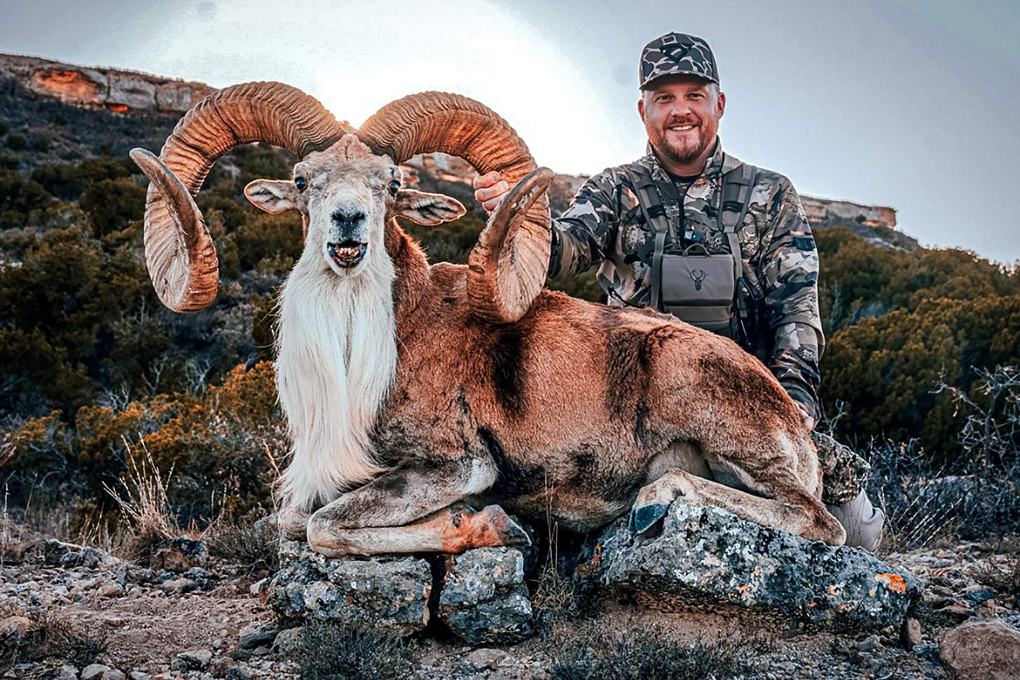 Did Cody Johnson Shoot an SCI World Record Ram in Texas?