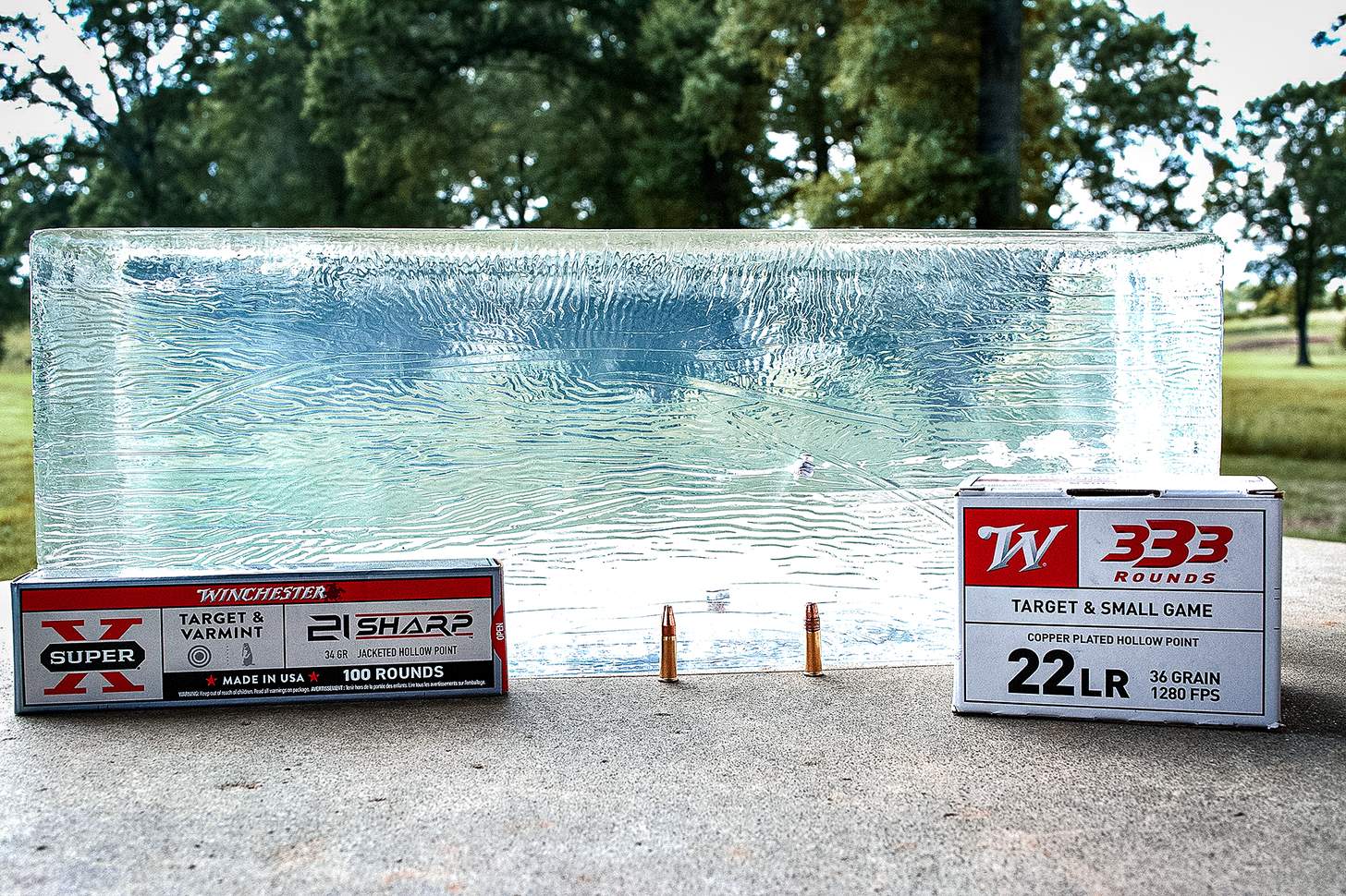 winchester .21 Sharp vs. .22LR in ballistic block
