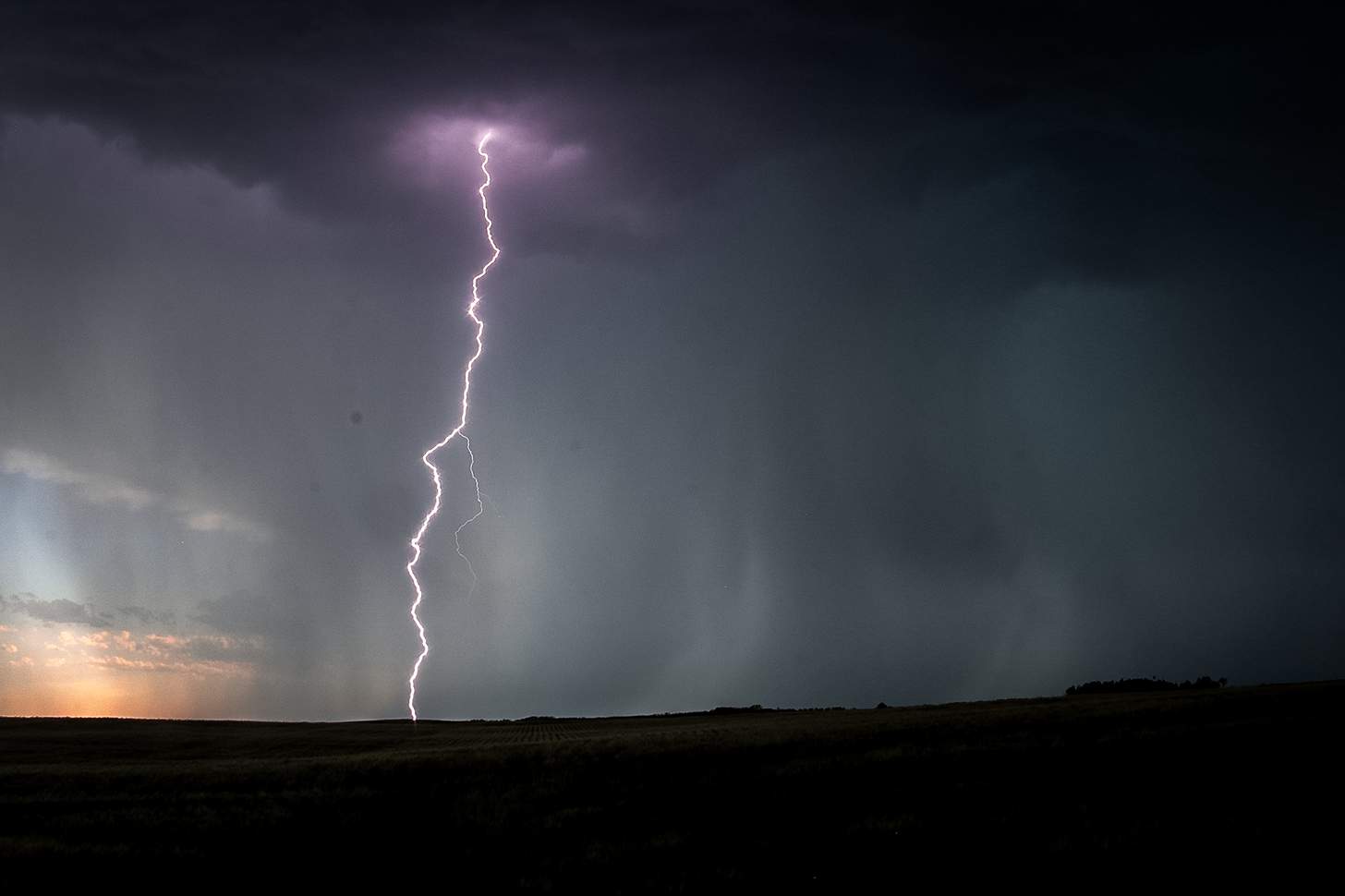 More Hunter Lightning Fatalities: 2 Florida Hunters, Dogs Killed