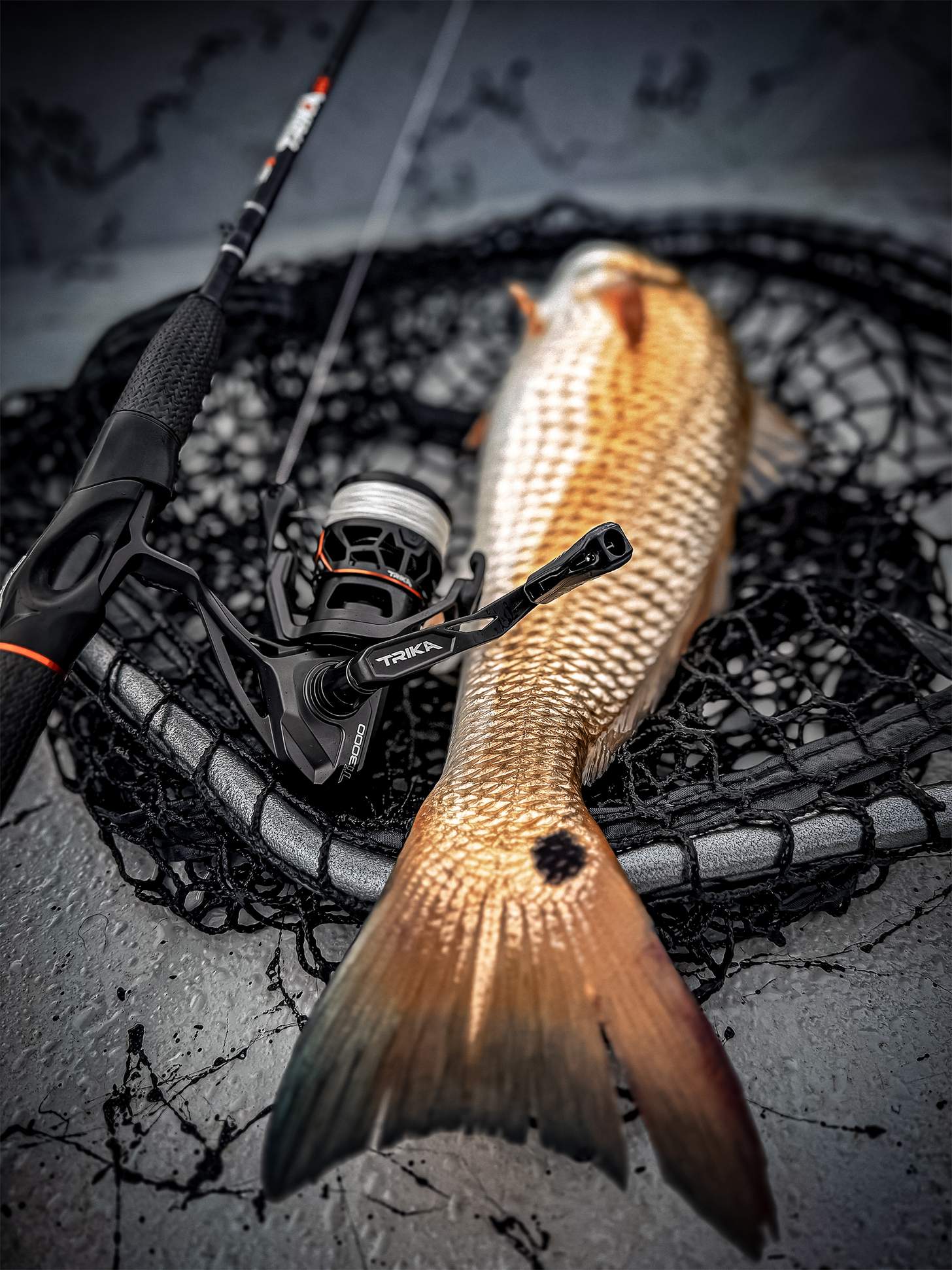 a bass on a net with a trika rod and reel