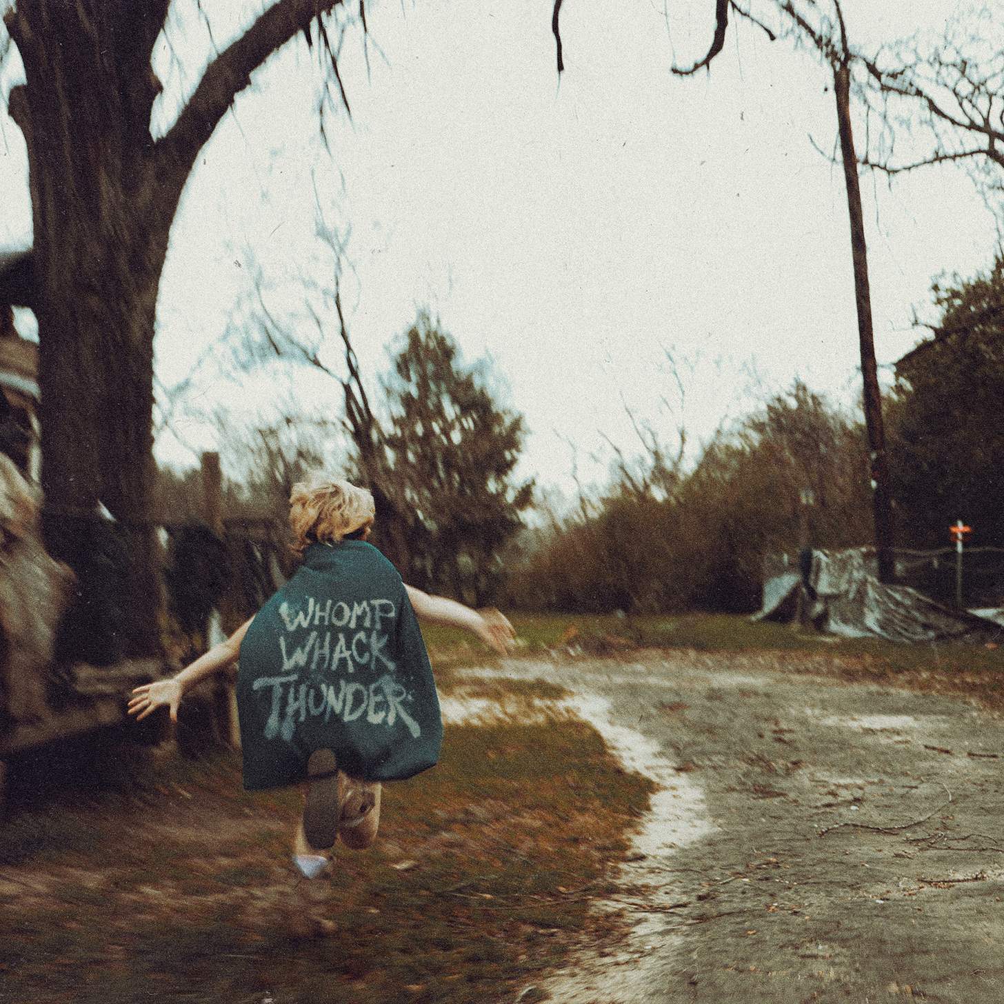 whomp whack thunder album cover