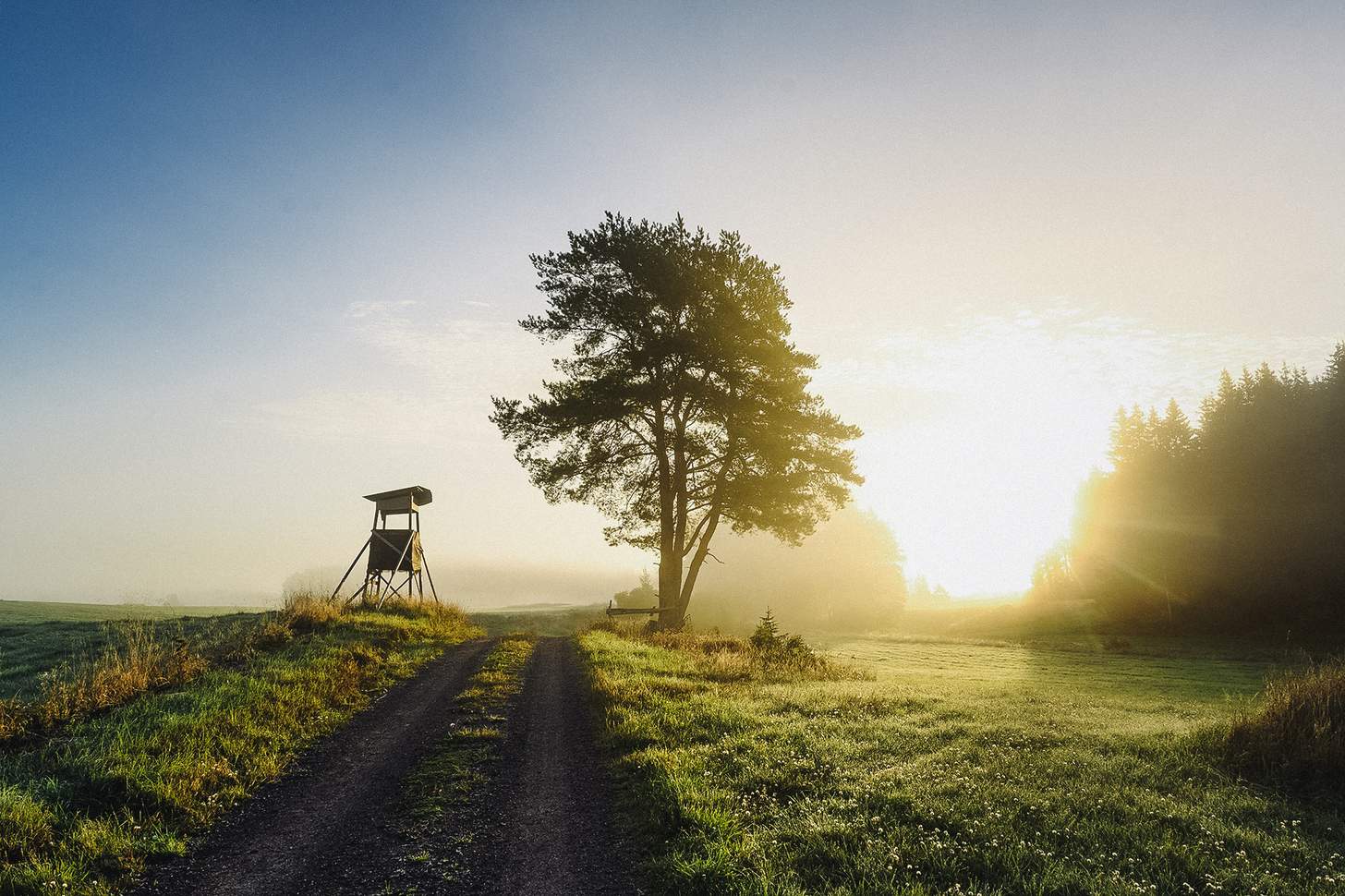 a hunting blind on a dirt road in front of the sun - early-season whitetail mistakes
