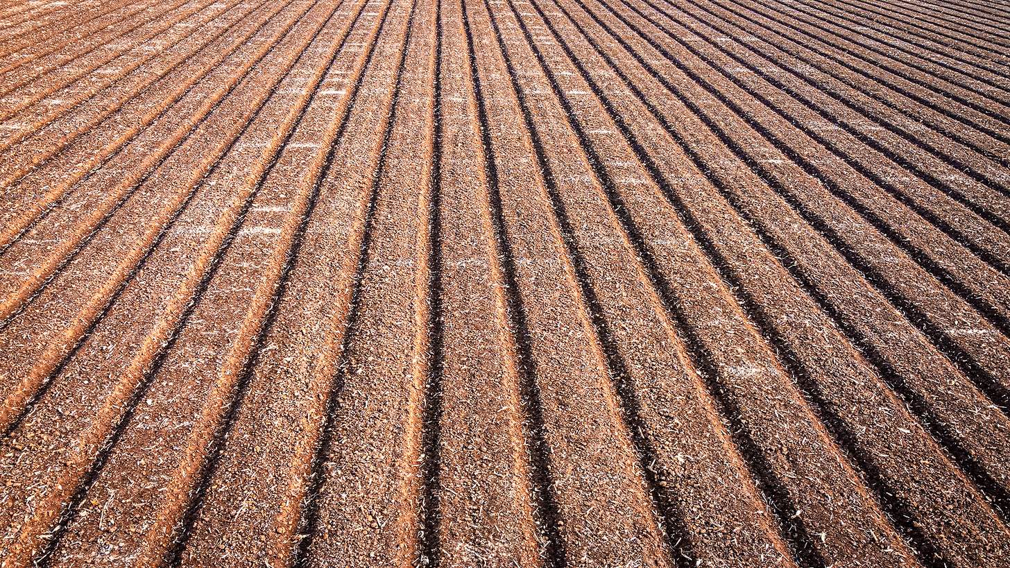 turn rows in a field