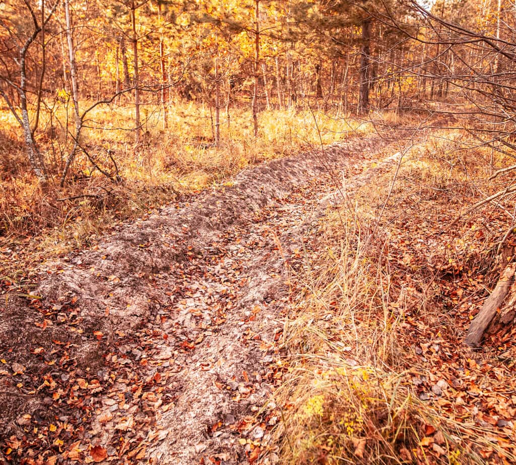 deer hunting funnels overgrown road