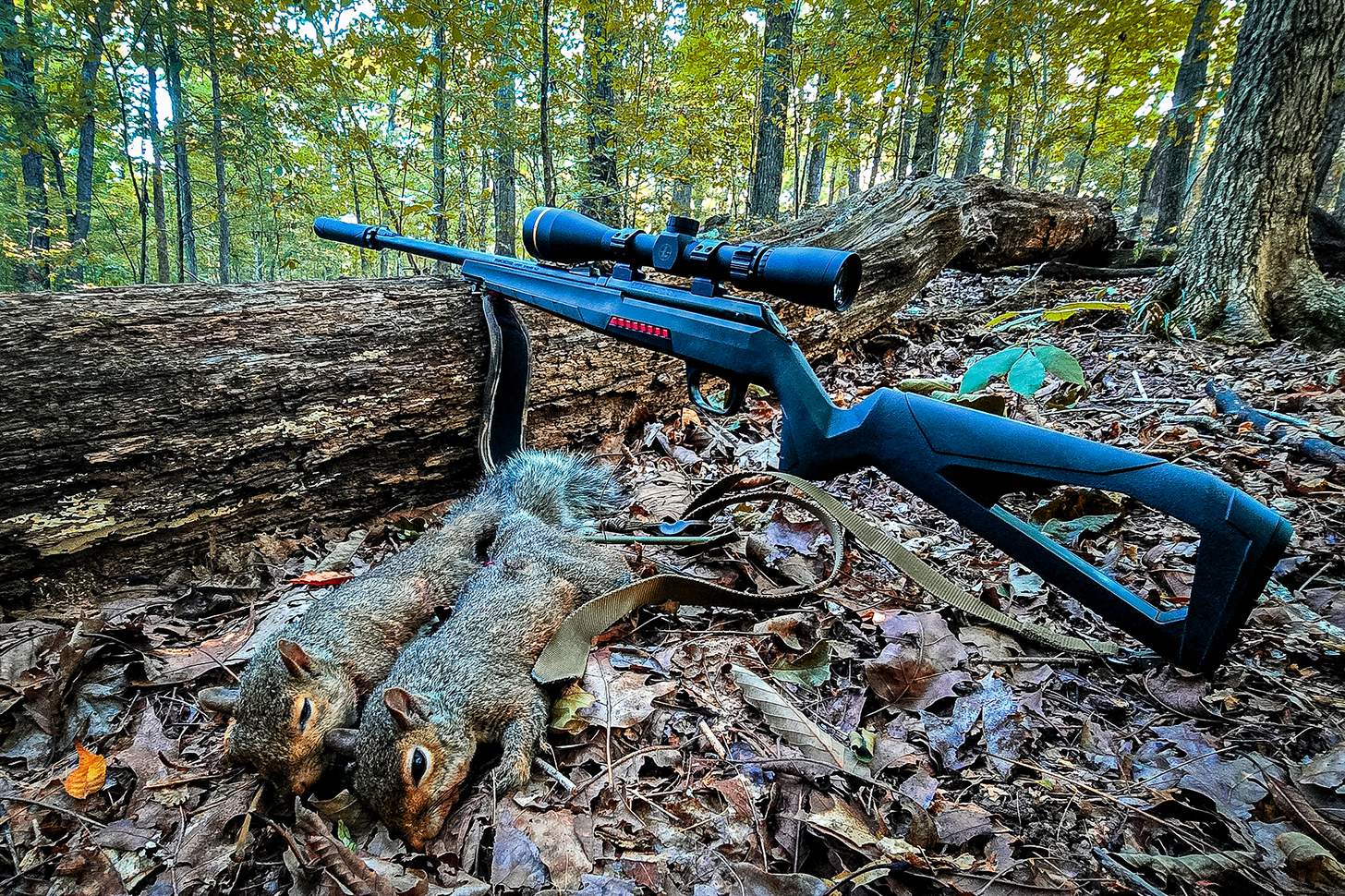 Winchester Xpert Bolt Action Rifle in Winchester 21 Sharp with squirrels